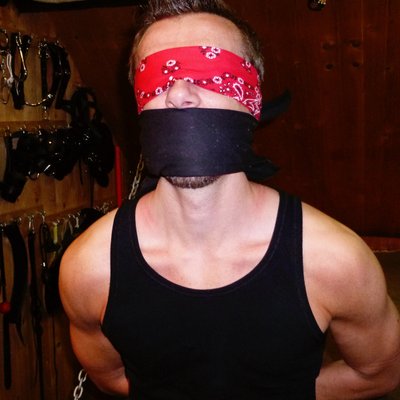 bandanabound's profile picture