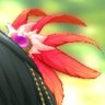 やづ's profile picture