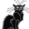 Black Cat @blackcatsyd.bsky.social's profile picture