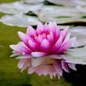 Фото профиля Varun