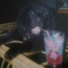 ccmurf's profile picture