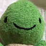 はるぴー🐢🐕 profil fotoğrafı