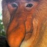 Profilbild von Tony