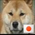 tetujun15 profil fotoğrafı