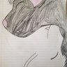 zillio_wolf_69🔜 defur profil fotoğrafı