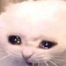 Julian's profile picture