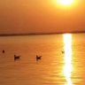 Profilbild von Garamchai
