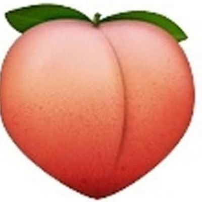 Thamy's profile picture