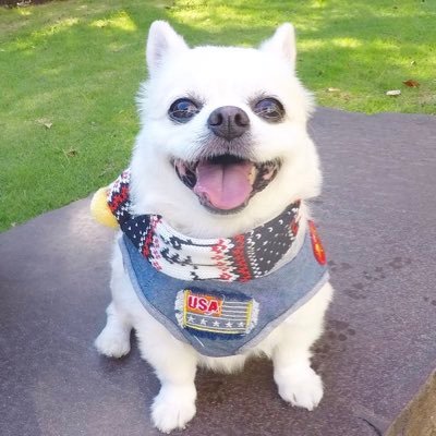 coo724's profile picture