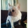 Suzanne's profile picture