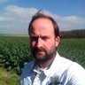 Alexis HACHE's profile picture