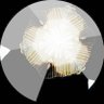 シャビ @¥'s profile picture
