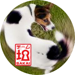 mutarmutar's profile picture