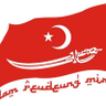 roeslanfr profil fotoğrafı