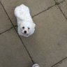 Tony's profile picture