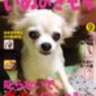 Profilbild von M.ちゃくそん