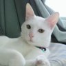 Profilbild von 笙子
