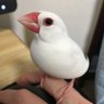 ひで太郎 的头像