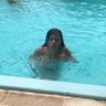 Dani Scapellato profil fotoğrafı