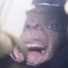 Mello Mage's profile picture