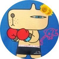shachong's profile picture