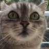 hyculcu's profile picture
