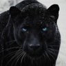 LIGHTYNWA's profile picture