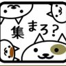 池田ラテ雫's profile picture