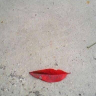 NHochrein's profile picture