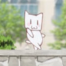 ぽこ①'s profile picture
