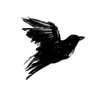 ع.م. ☁'s profile picture