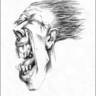 cees van apeldoorn's profile picture