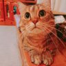 ななな 的头像