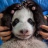 mr.lucasxu's profile picture