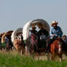 WagonTrain's profile picture