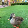 お姉さん's profile picture