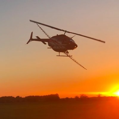 THeliteam's profile picture