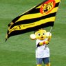 🐯茂🐯🐯🐯🐯🐯次回甲子園5/21予定's profile picture