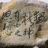 灰度觀察員 的头像