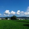 Фото профиля くぅ