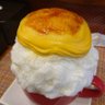 うっチー's profile picture