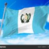 GuateNice's profile picture