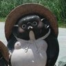 Wanoji's profile picture