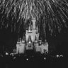 Фото профиля Tim