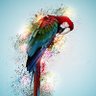 ‏ابوالعـــز pigeonksa1@'s profile picture