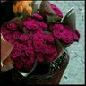 nora570_ profil fotoğrafı