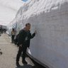 陽光光's profile picture