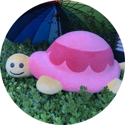 カメちゃん🐢's profile picture