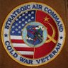🇺🇸ColdWar1VetSgt🇺🇸 的头像