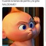 José Antonio's profile picture